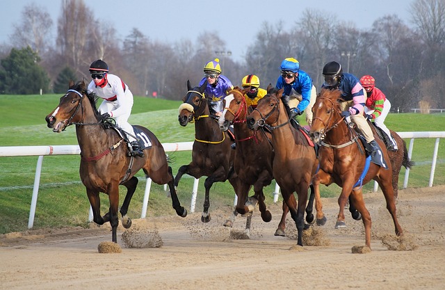 Betting on horse racing